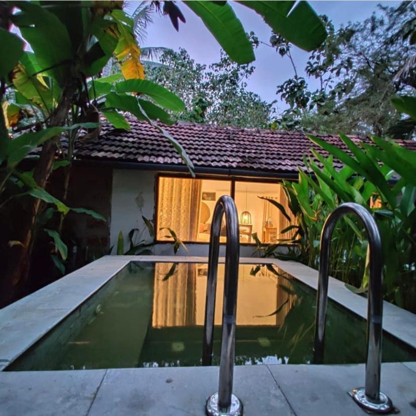Sunsets And Palm Trees Bed & Breakfast Alappuzha ภายนอก รูปภาพ